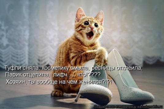 [clip_image041%255B3%255D.jpg]
