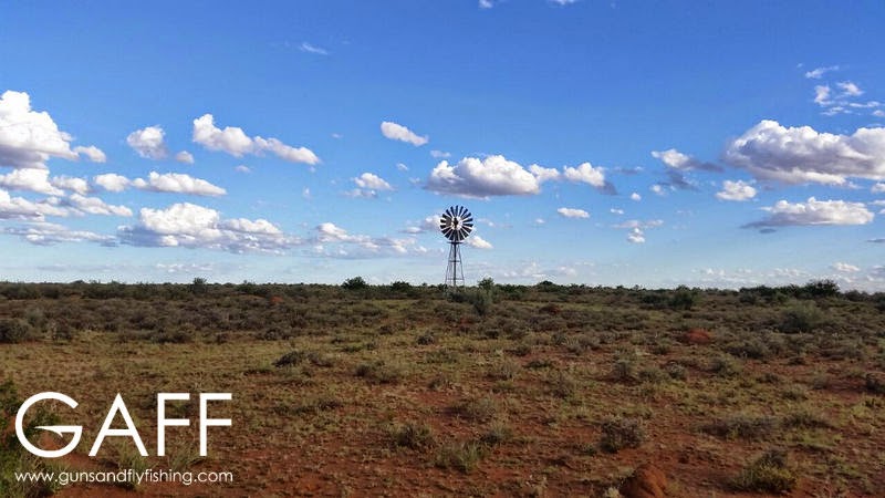 karoo (1).jpg
