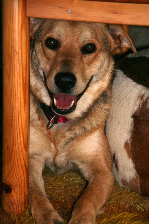 [IMG_5529%255B2%255D.jpg]