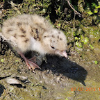 DSCN9538.JPG