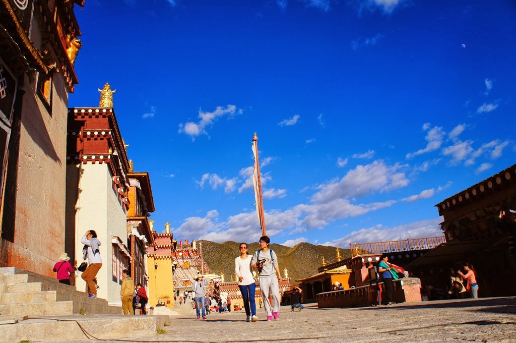 [DSC06667%255B4%255D.jpg]