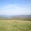 IMGP2333.JPG