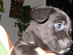 DSCF0478.JPG