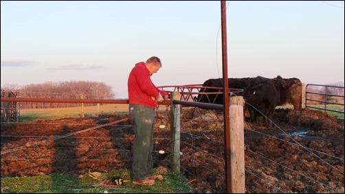 fixing fence