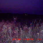MDGC0082.JPG