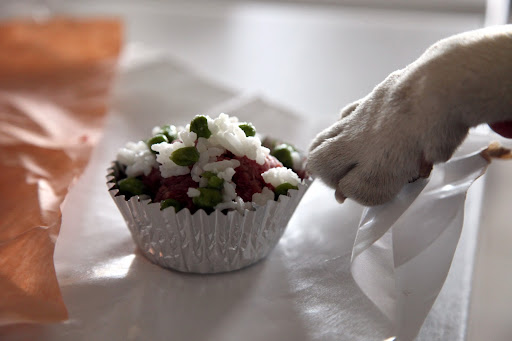 Hmmm - I'll use some white rice as jimmies.  Well, G.K., Franny is 7 in human years.  Some would say she's 49 in 'dog years', but that count is not actually accurate!