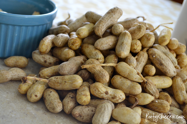 Garlic Boiled Peanut Recipe by Poofy Cheeks