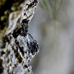 2011-07 18-06-27_0017.jpg
