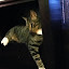 cats_chance_2011_06_10_09.jpg