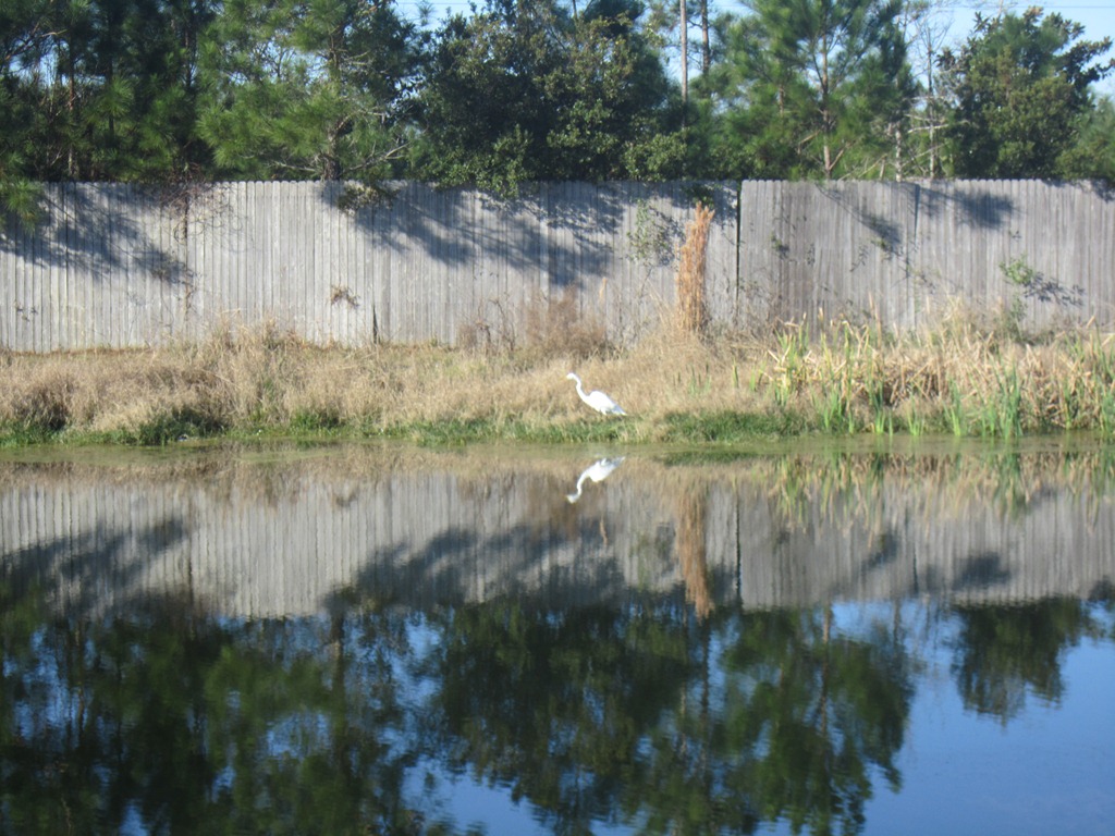 [IMG_4207%255B3%255D.jpg]