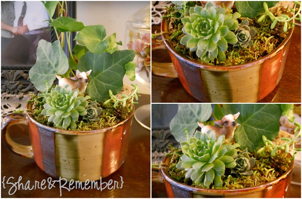 [mini%2520planter%255B4%255D.jpg]