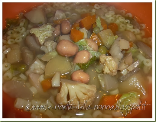 Minestrone di verdure dell'orto con pastina (11)