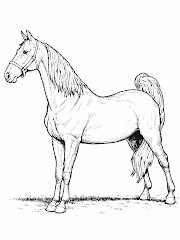 Cavalo Desenho 4 Imglinkz