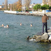 2011-12-11_016.JPG