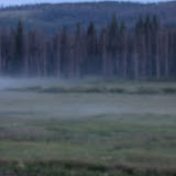 IMG_1156.JPG
