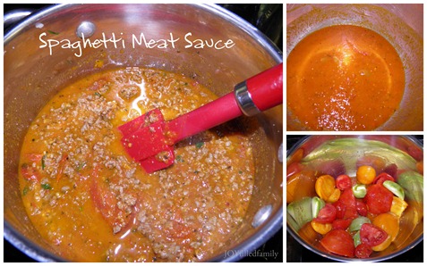 Spaghetti Meat Sauce