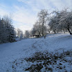 IMG_2353.JPG