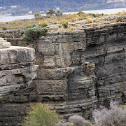 [澳洲] Tasmania