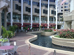 IMG00293-20090806-1449.jpg