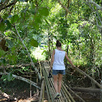 DSC_0618.JPG