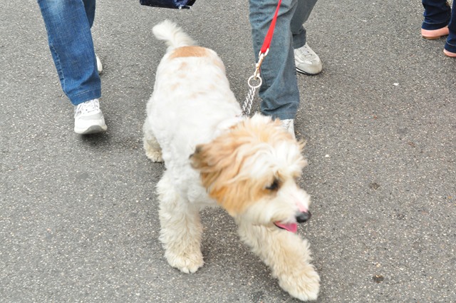 [DSC_0824%255B3%255D.jpg]