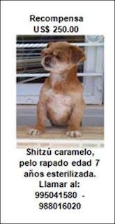 ita perdida.jpg