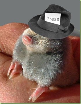 little mo press hat