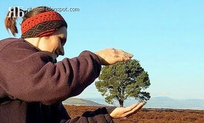 Photos in perfect Frame