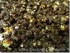 caramel corn 05 caramel corn 05