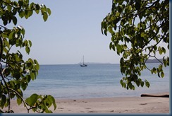 DSC_4916 DSC_4916