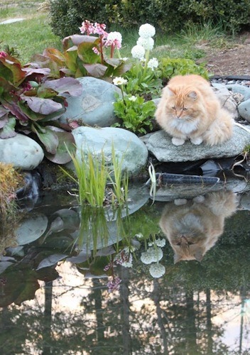 [clip_image009%255B5%255D.jpg]