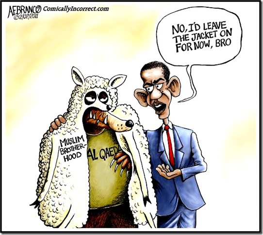 MB Wolf - BHO Advice toon