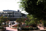 IMG_7323.jpg