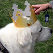 amadeus_prinz-von-der-palz_1.jpg