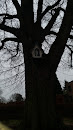Chapelle Dans L'arbre 
