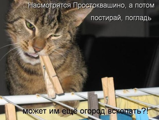 [f5dd51e28eebab84c4649136b90_prev%255B3%255D.jpg]