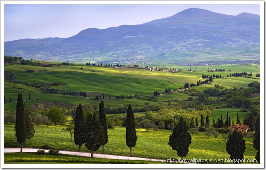 this beautiful scene is in the Val d'Orcia in Tuscany (Toscana), Italy