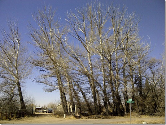IMG-20120310-03077