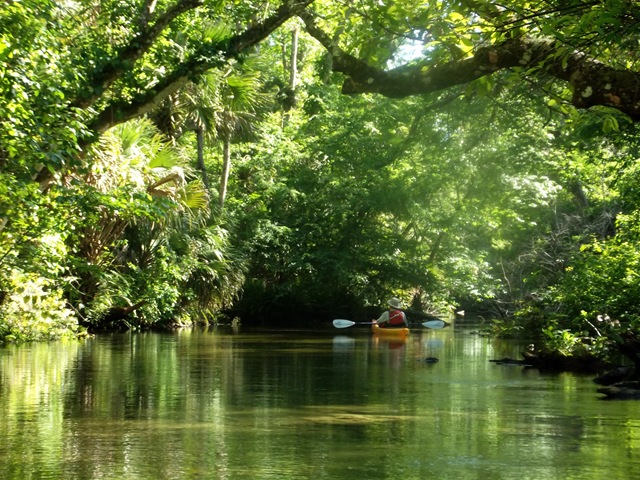 [WekiwaSpringsStatePark1353.jpg]