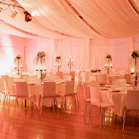 Wedding Setting.jpg
