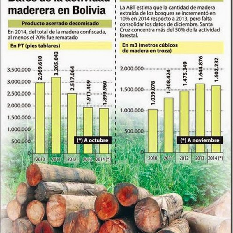 Crece la extracción de madera y mejora la provisión al mercado