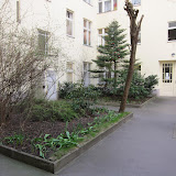IMG_6771.JPG