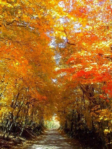 [autumn-colors-fall-028%255B2%255D.jpg]