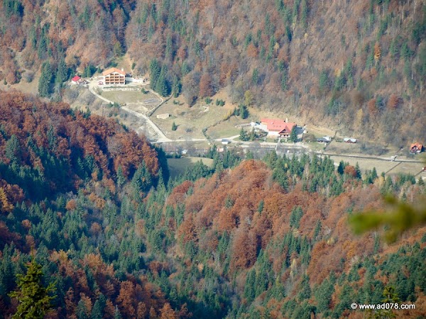 cioranga ramura de sus-18.JPG