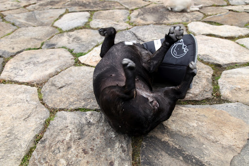 If I just keep twisting, I think I can get that itch scratched!