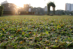 Green Carpet