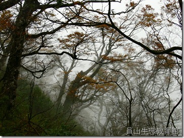 間冰期到了, 就往山上遷徙 間冰期到了, 就往山上遷徙