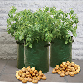 3 Potato Planters in the pack