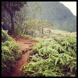 hawaii.instagram8