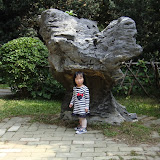 DSC05855.JPG